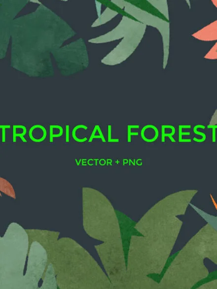Tropical Forest Jungle Leaves Graphics - Image 6
