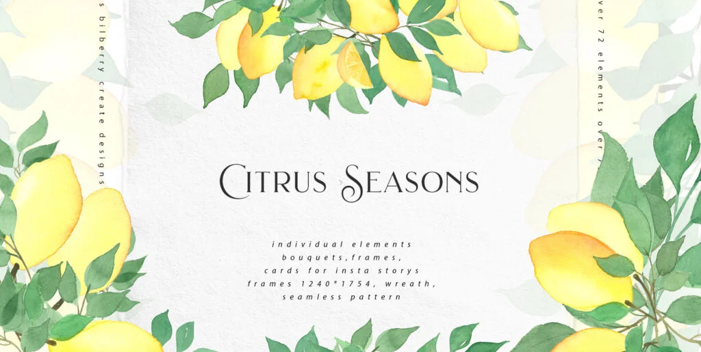 Citrus Seasons Graphics - Image 2