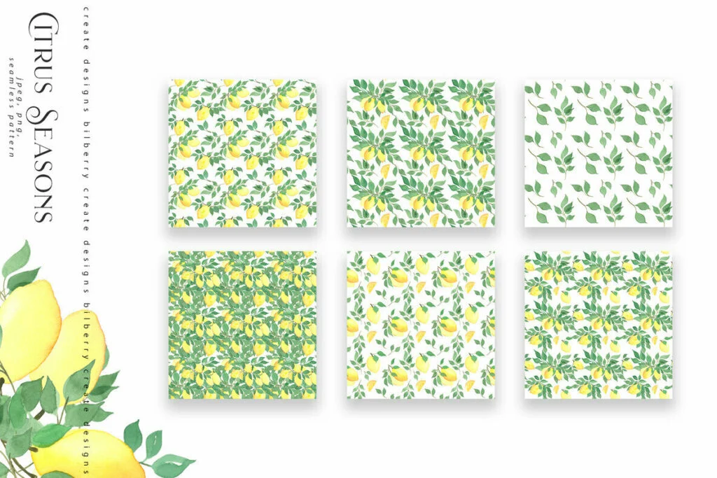 E5569_02.jpg E5569_02.jpg