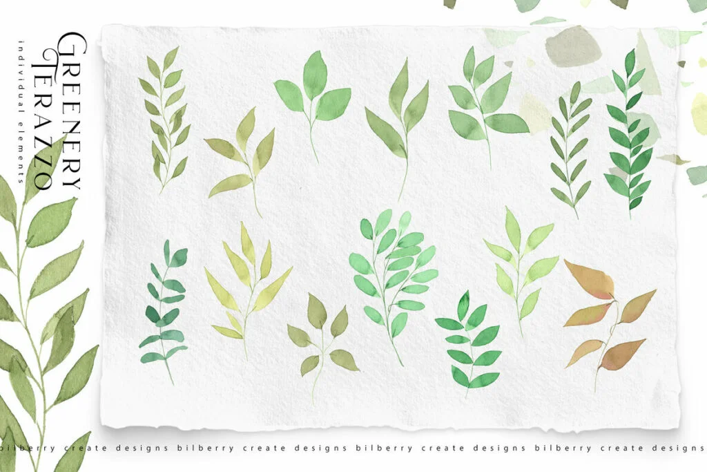 E5571_03.jpg E5571_03.jpg