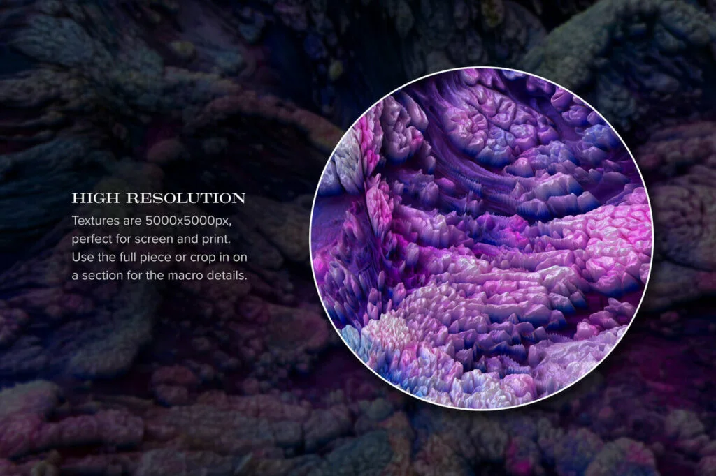 E5668_03.jpg E5668_03.jpg