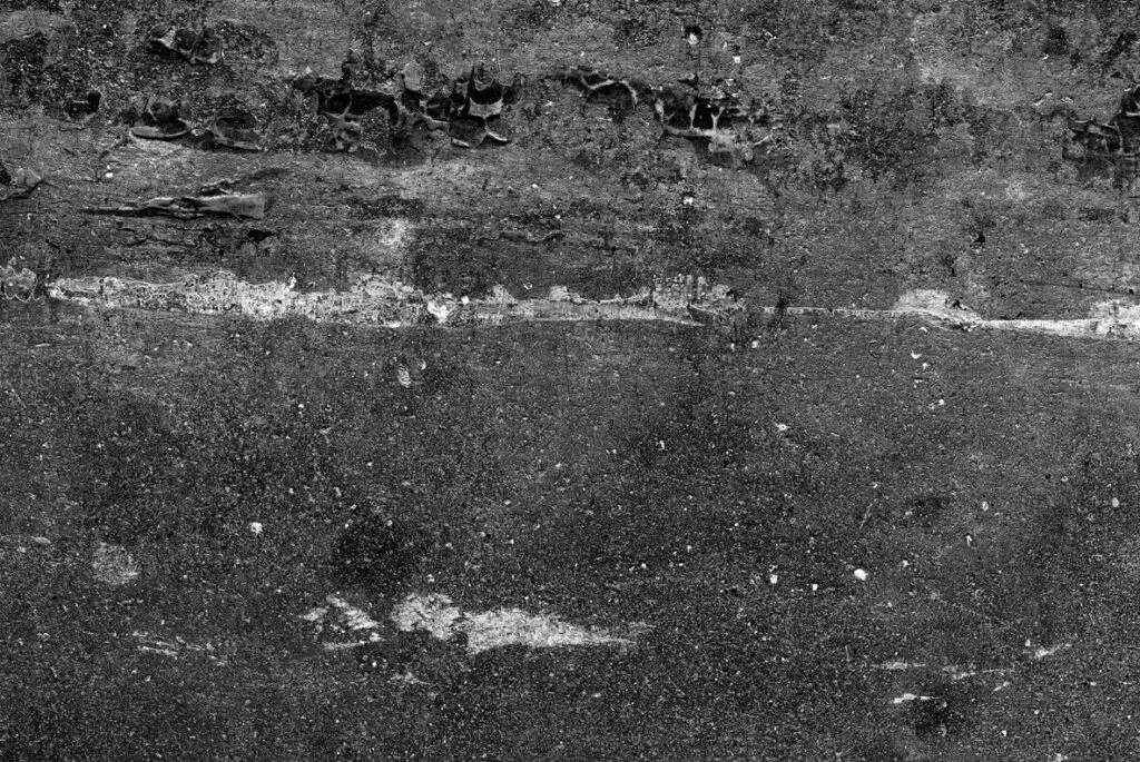 E5682_04.jpg E5682_04.jpg