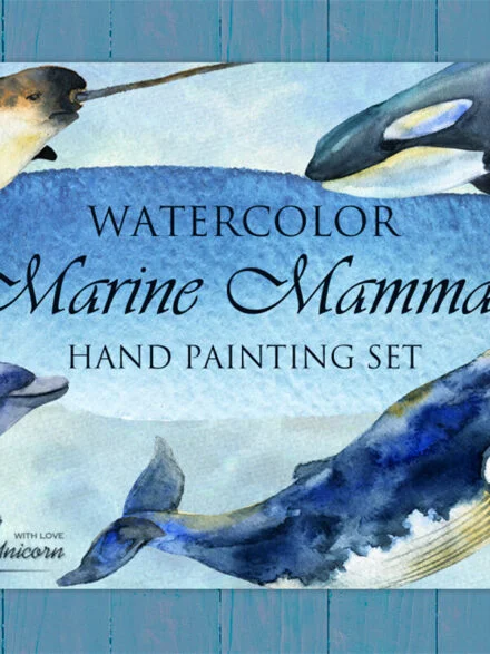 Marine Mammals Watercolor Set Graphics - Image 5