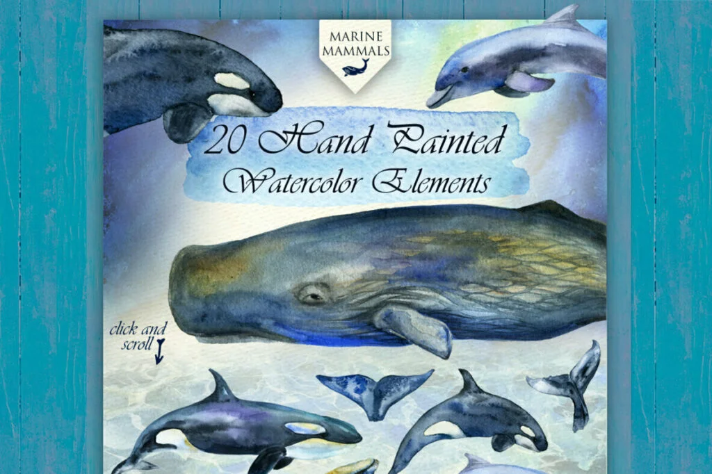 E5765_01.jpg E5765_01.jpg