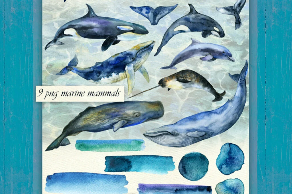 E5765_02.jpg E5765_02.jpg