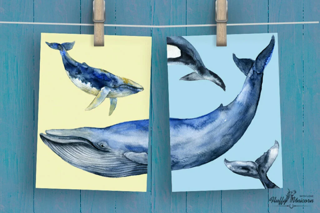 E5765_04.jpg E5765_04.jpg