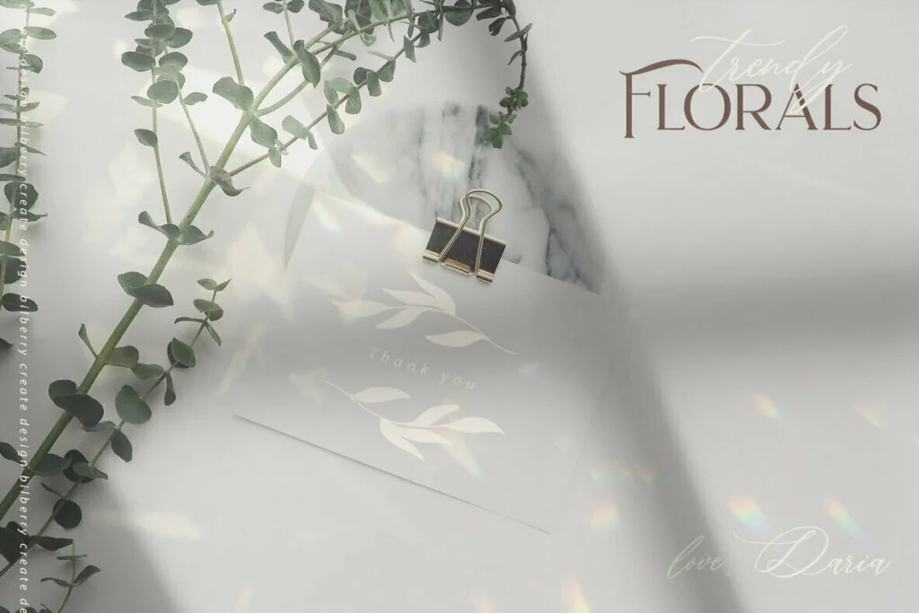 E5773_01.jpg E5773_01.jpg