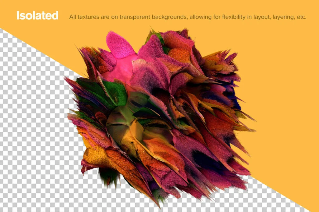 E6005_03.jpg E6005_03.jpg