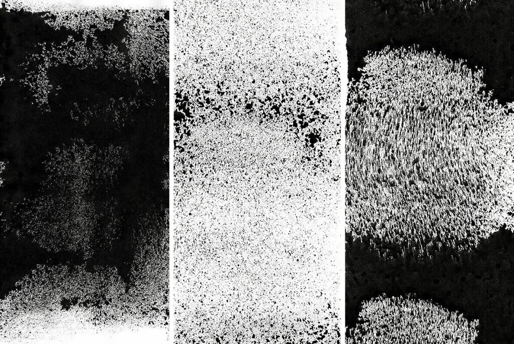 E6012_03.jpg E6012_03.jpg