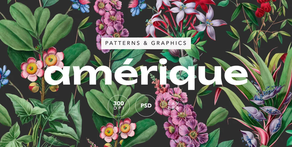 Elegant Botanical Pattern & Flowers Graphics - Image 2