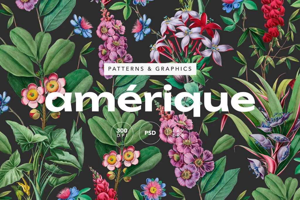 E9050_00.jpg E9050_00.jpg