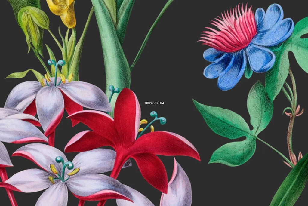 E9050_02.jpg E9050_02.jpg