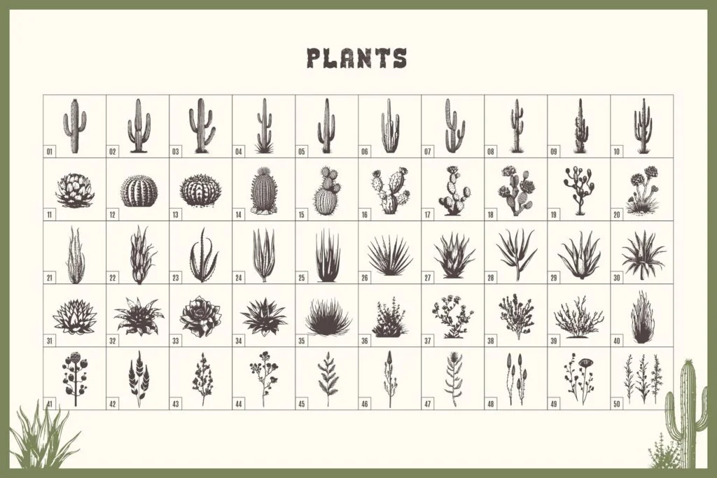 E9077_05.jpg E9077_05.jpg