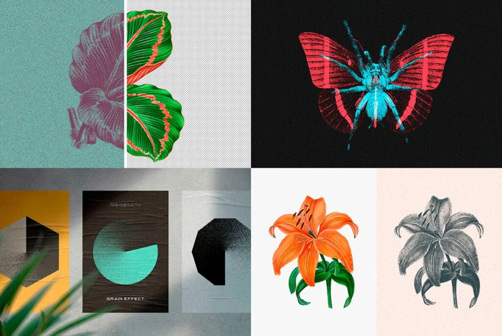 E9118_03.jpg E9118_03.jpg