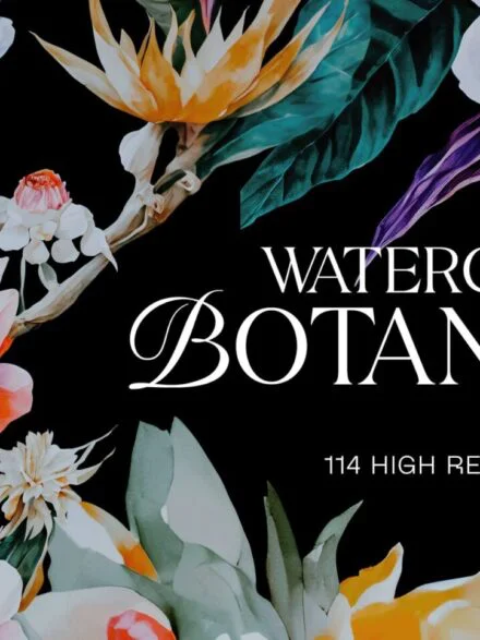 Watercolor Botanicals Graphics - Image 1