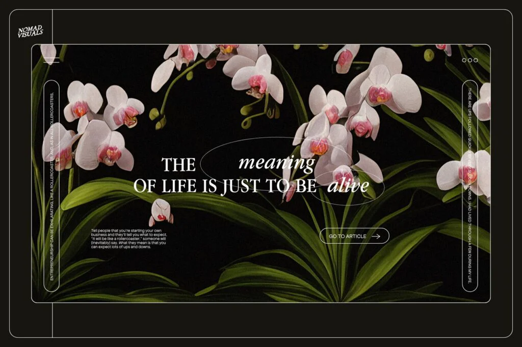 E9241_03.jpg E9241_03.jpg