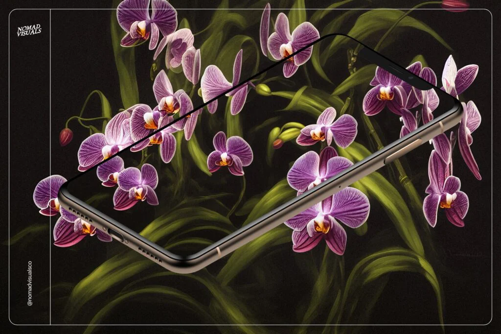 E9241_04.jpg E9241_04.jpg