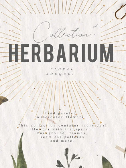 Herbarium Watercolor Collection Graphics - Image 9
