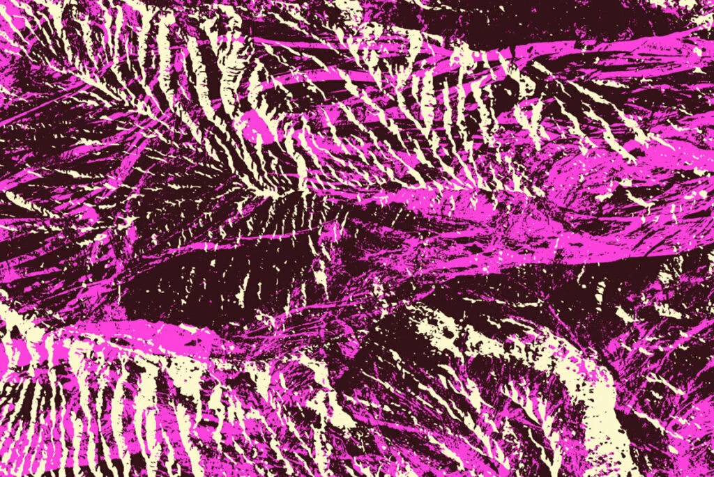 E5079_03.jpg E5079_03.jpg