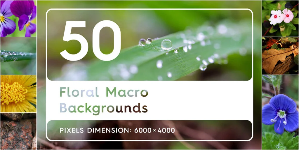 50 Floral Macro Backgrounds Graphics - Image 2