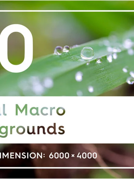 50 Floral Macro Backgrounds Graphics - Image 6