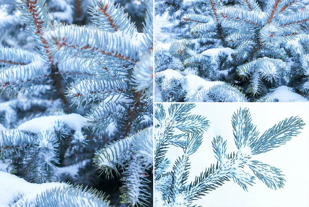 E5120_04.jpg E5120_04.jpg