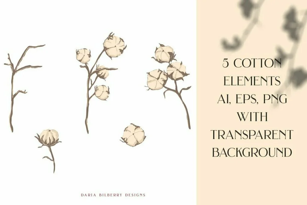 E5127_02.jpg E5127_02.jpg