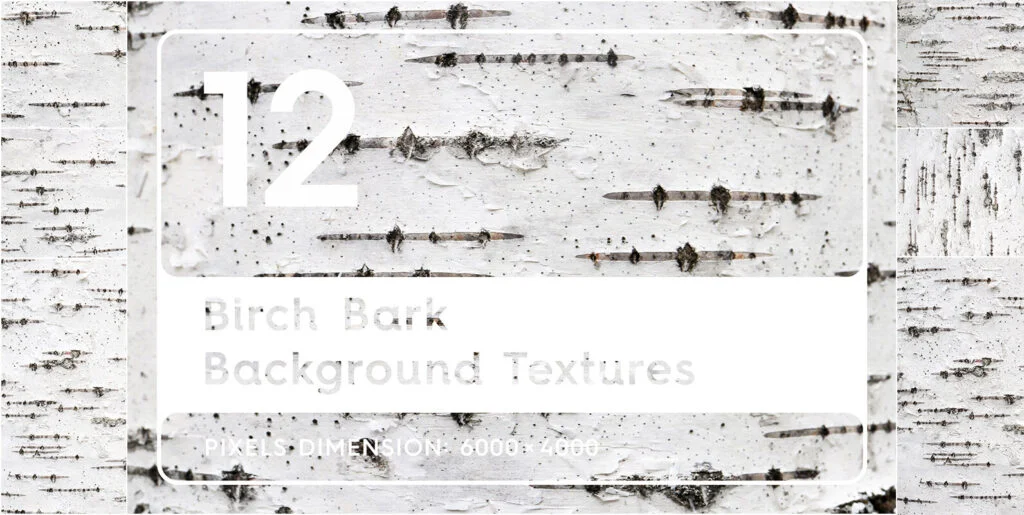 12 Birch Bark Background Textures Graphics - Image 2