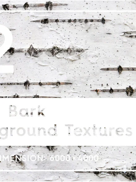 12 Birch Bark Background Textures Graphics - Image 4