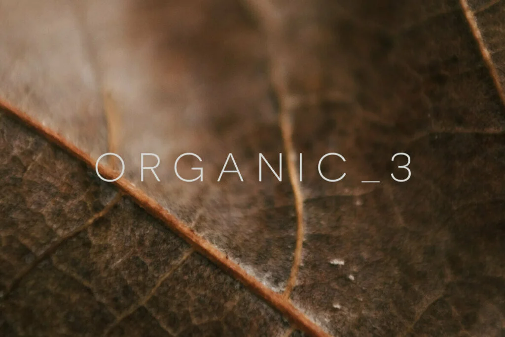 E5137_00.jpg E5137_00.jpg