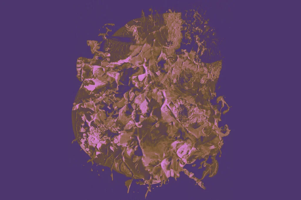 E5168_05.jpg E5168_05.jpg