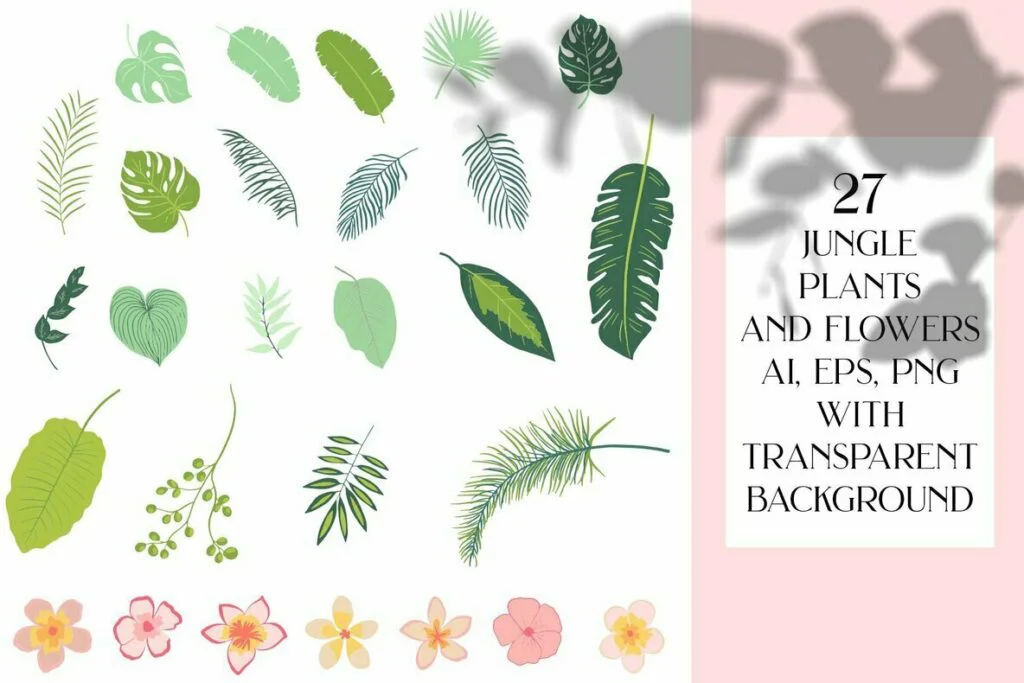 E5185_02.jpg E5185_02.jpg