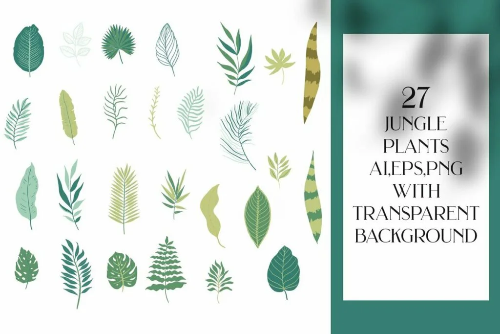 E5186_03.jpg E5186_03.jpg