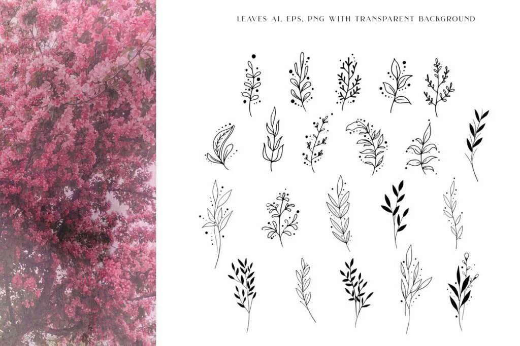 E5187_03.jpg E5187_03.jpg