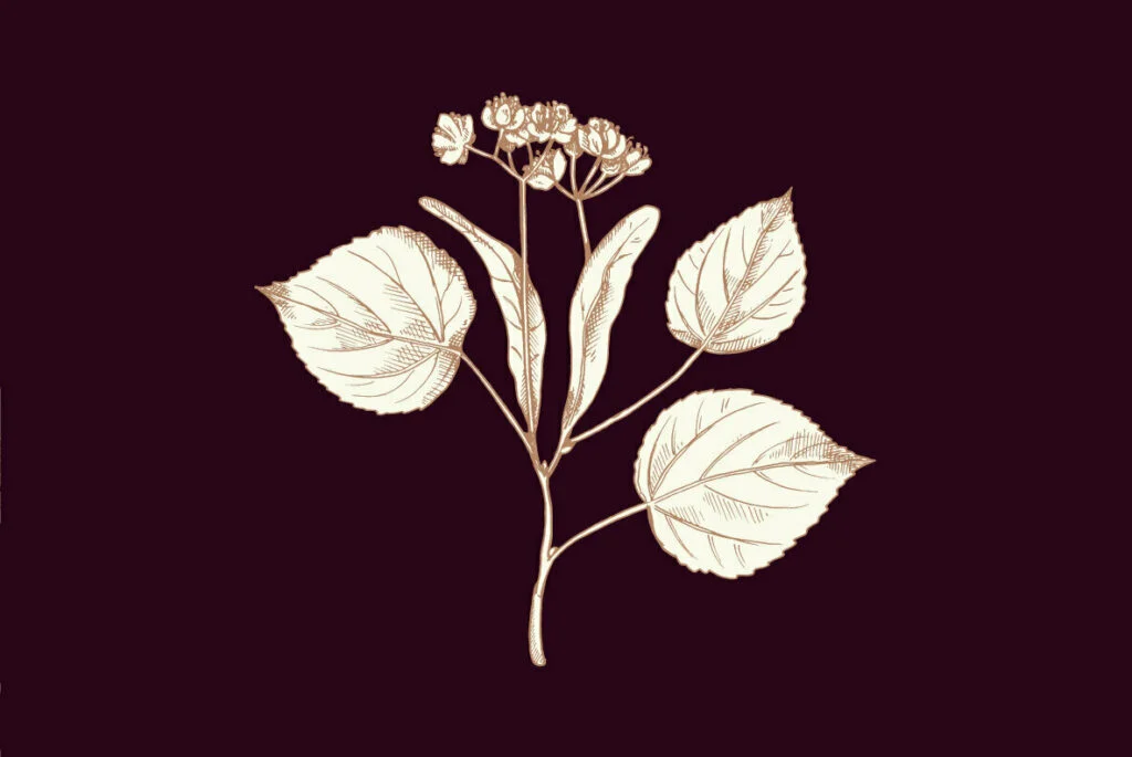 E5198_01.jpg E5198_01.jpg