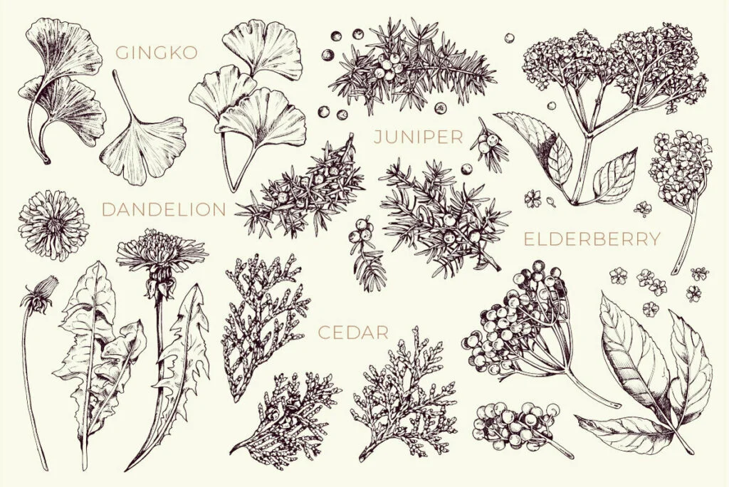 E5198_02.jpg E5198_02.jpg