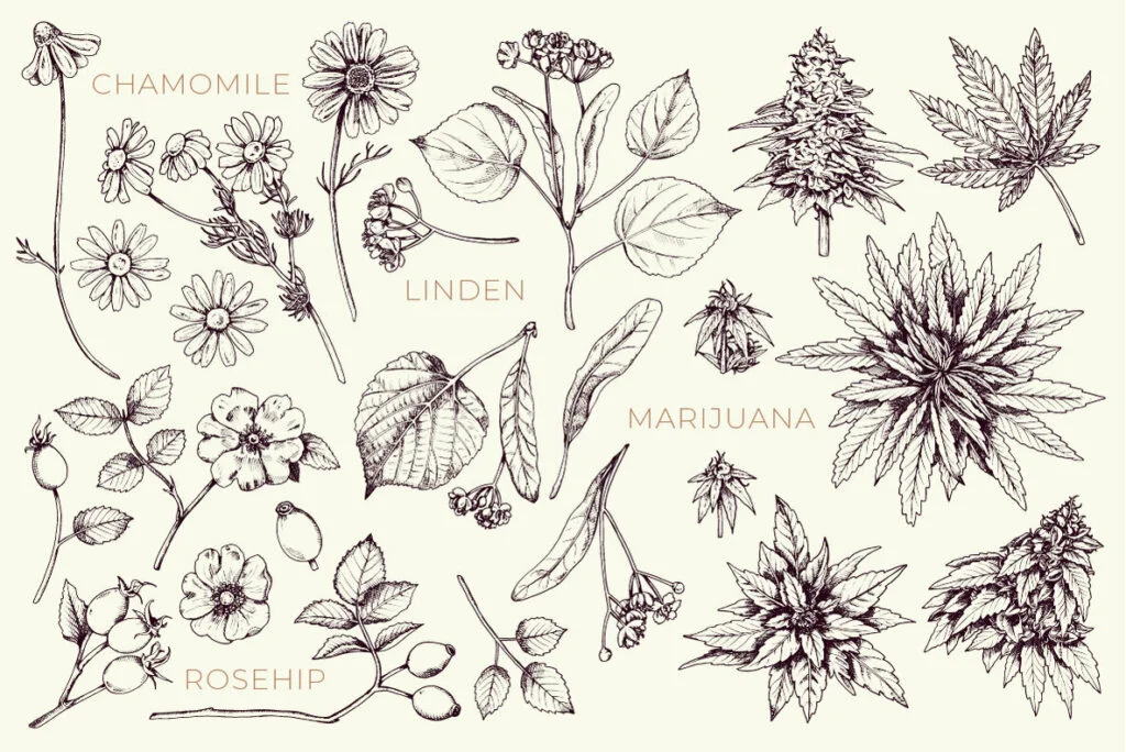 E5198_03.jpg E5198_03.jpg