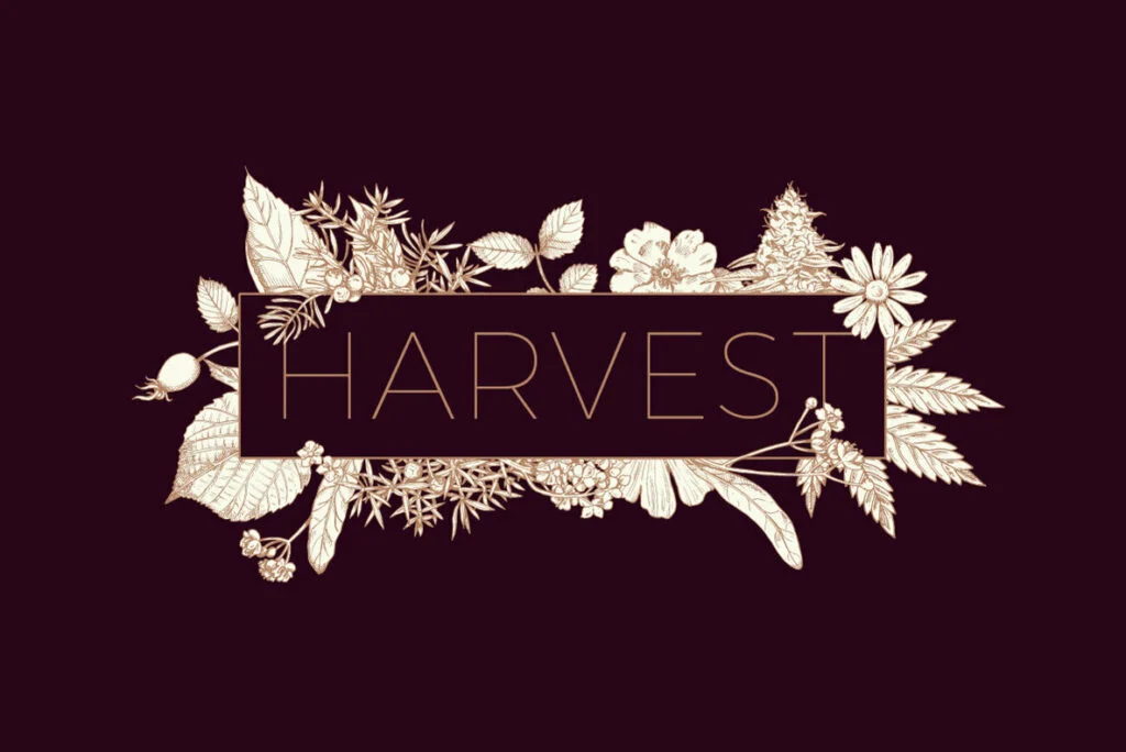 E5198_04.jpg E5198_04.jpg