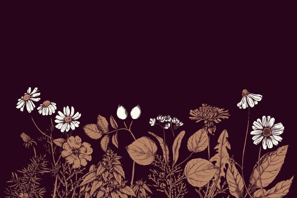 E5198_05.jpg E5198_05.jpg