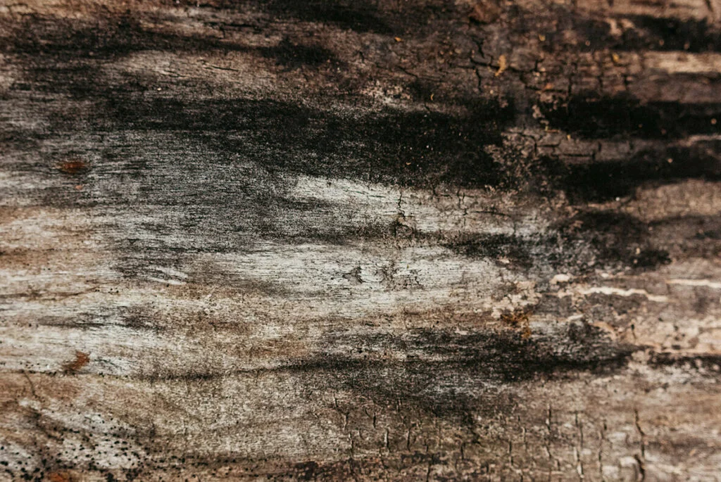 E5217_01.jpg E5217_01.jpg