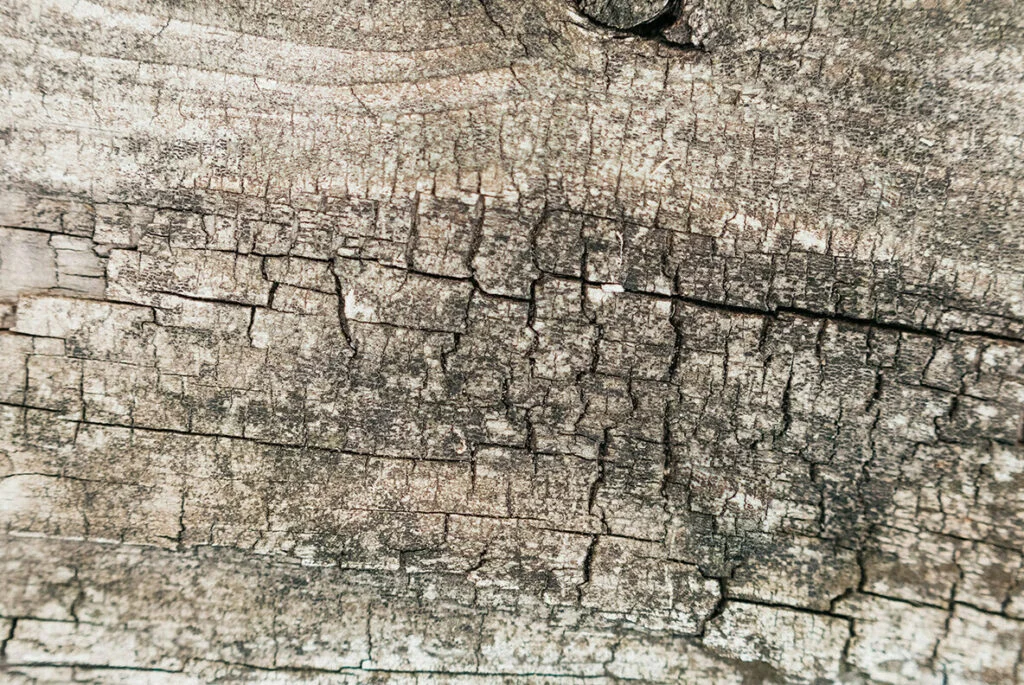 E5217_02.jpg E5217_02.jpg