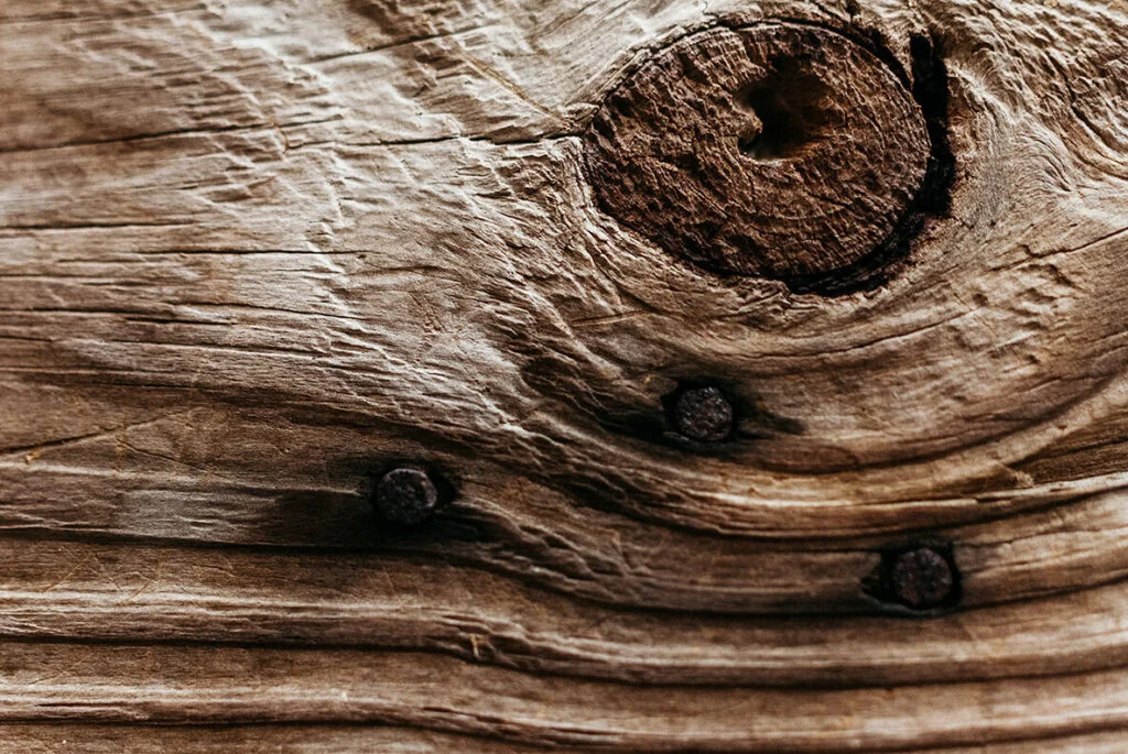 E5217_04.jpg E5217_04.jpg