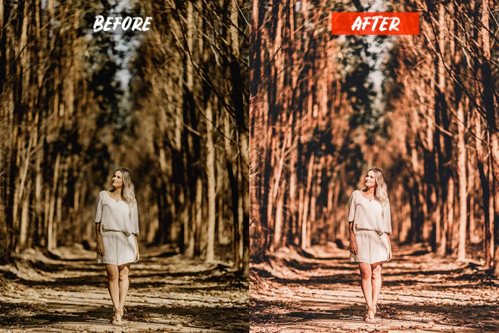 E5280_05.jpg E5280_05.jpg