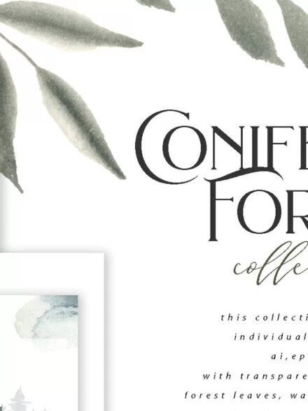 Coniferous Forest Collection Graphics - Image 6