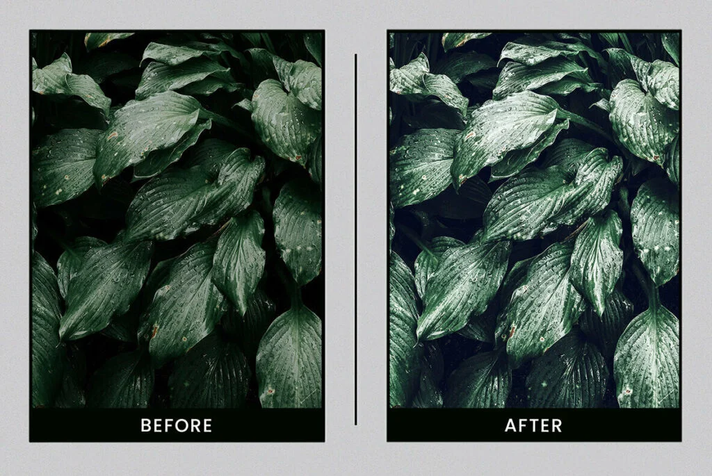 E5327_01.jpg E5327_01.jpg