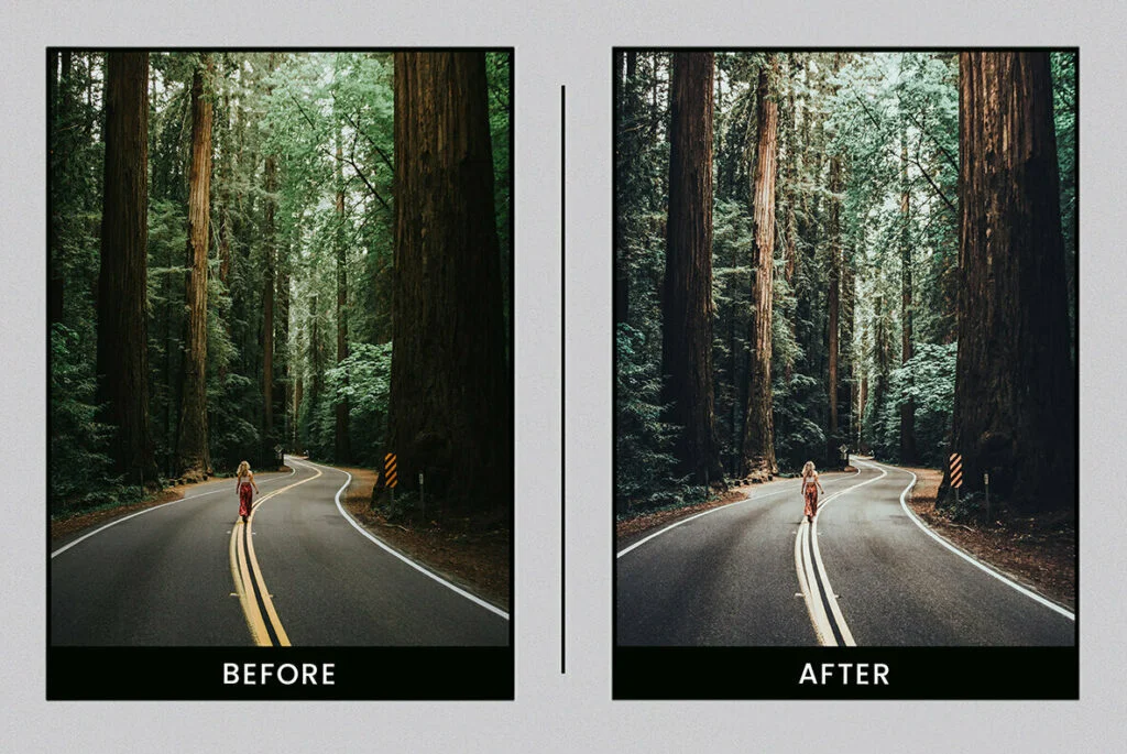 E5327_02.jpg E5327_02.jpg