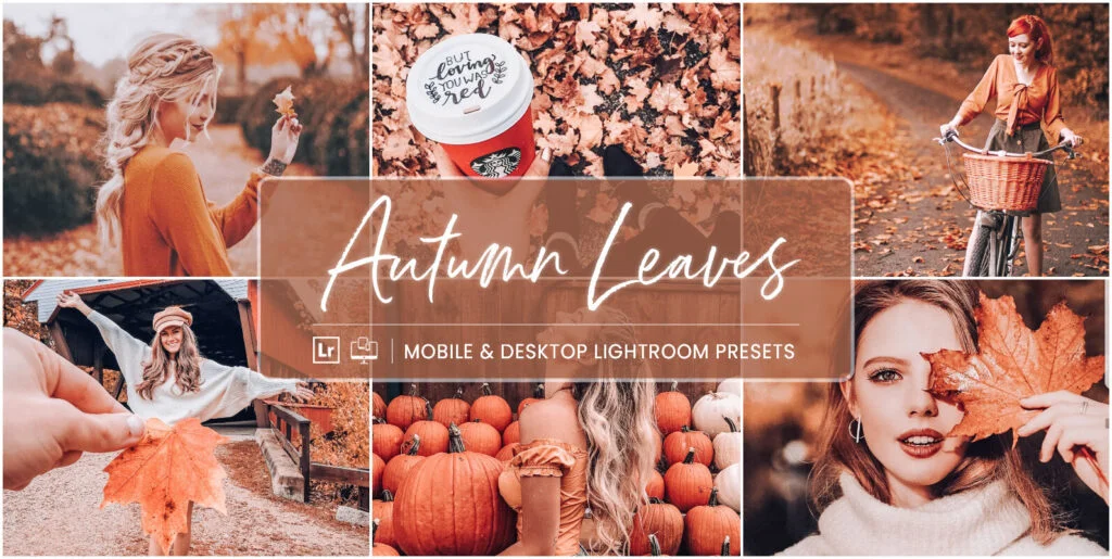 Autumn Leaves – Mobile & Desktop Lightroom Presets Graphics - Image 2