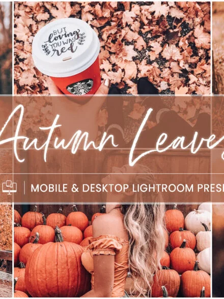 Autumn Leaves – Mobile & Desktop Lightroom Presets Graphics - Image 12