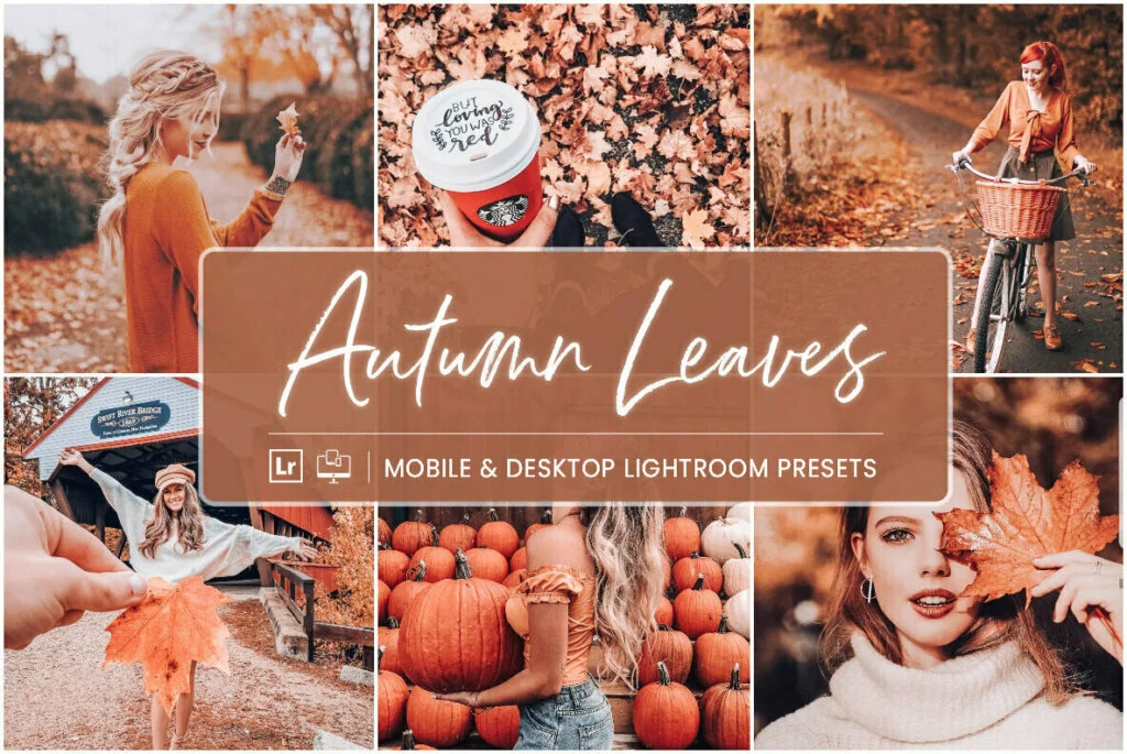 E5329_00.jpg E5329_00.jpg