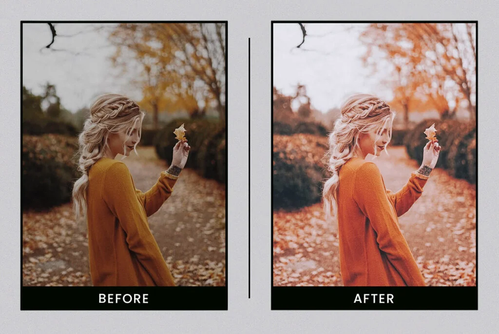 E5329_05.jpg E5329_05.jpg